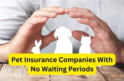 pet insurance michigan no waiting period